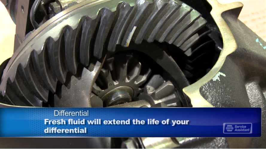 differential_reapir_and_fluid_replacement